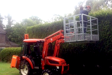Hedge Cutting