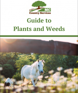 Guide to Plants and Weeds