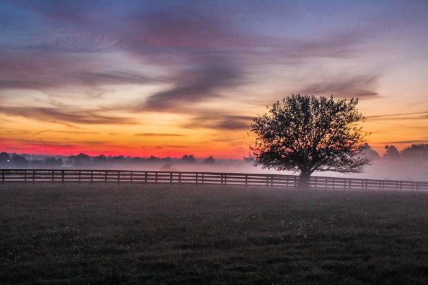 Field with Paddock Fencing at Dusk