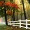 Fencing in a Field in Autumn