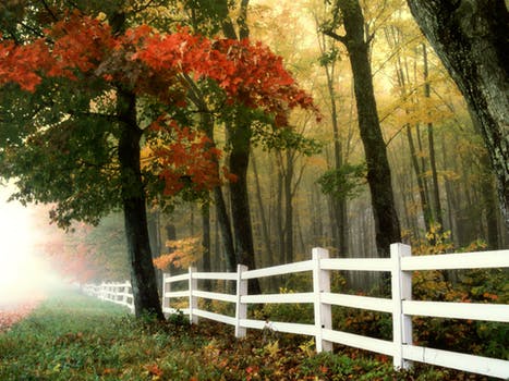 Fencing in a Field in Autumn